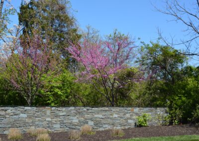 Shady Grove, Wall, Real Stone Veneer, Natural Stone Veneer, Sawn Thin Stone Veneer